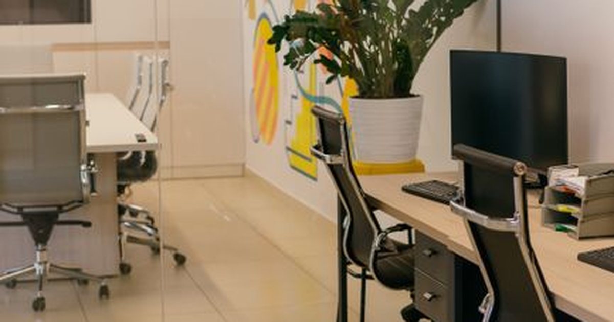 Oficina moderna vacía con planta y mesas de trabajo