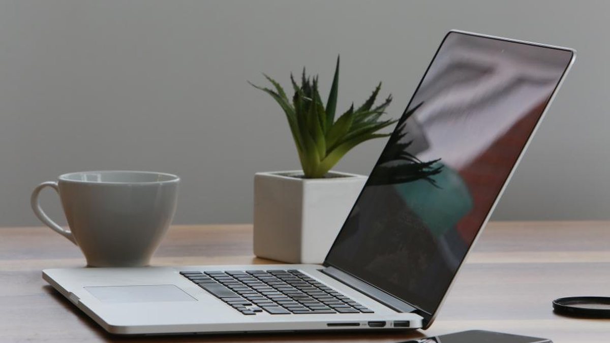 Portátil abierto junto a una taza y una planta sobre una mesa
