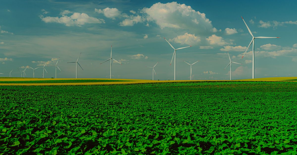 Aerogeneradores al fondo de un campo de cultivo verde
