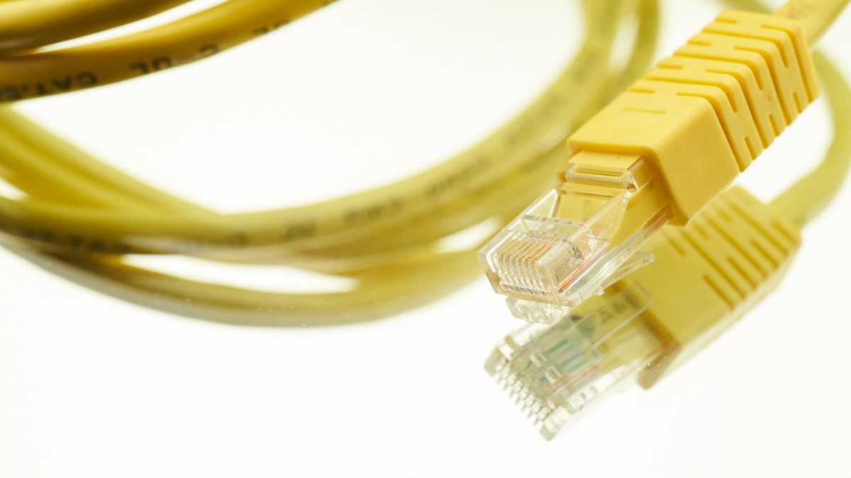 Cables de red conectados a un panel de servidores